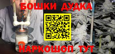 гидра Новодвинск