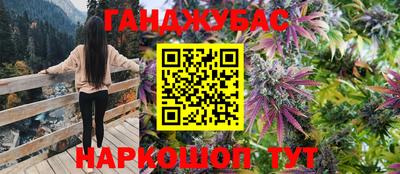 гидра Новодвинск