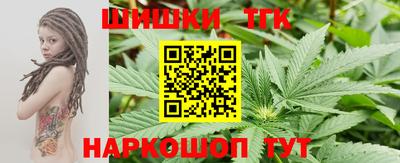гидра Новодвинск