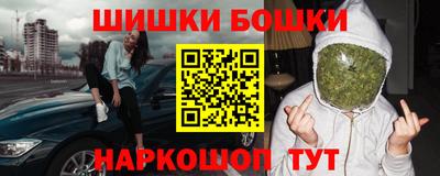 гидра Новодвинск
