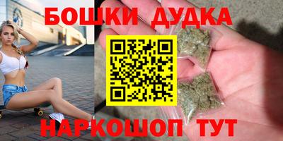 гидра Новодвинск