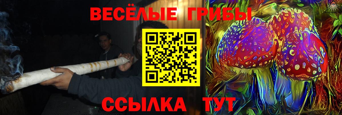Усть-Илимск  Галлюциногенные грибы Psilocybe  Вход с VPN 